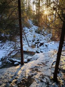 Chata Živa pod Babou horou