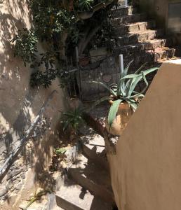 Il paradiso ritrovato nel Golfo dei Poeti