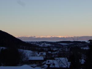 Appartements Appartement avec 1 chambre : photos des chambres