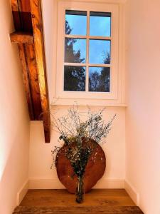 Detached holiday home in the middle of the forest