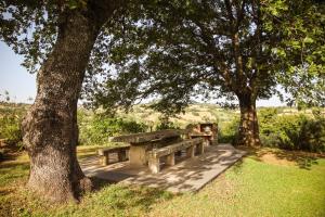 Bio Agriturismo Poggio Aione