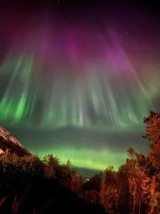 Alkove Apartment - Tomasjorda