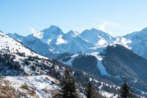 Appartement cosy à LAlpe dHuez 27 m² avec vue montagne