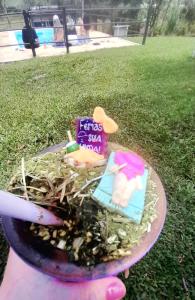 Sítio das Bergamotas Pousada Rural