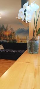 Apartament Olczański Chëcz