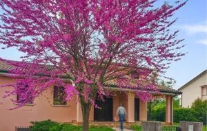 Cozy Apartment In San Pietro Di Feletto - 福利纳