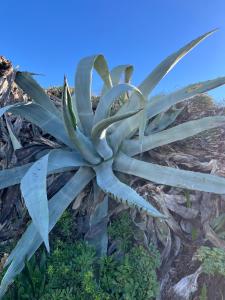Premium Luxury-Casares Del Mar-Seaside Apartment