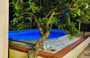 Villa Vallée D Itria