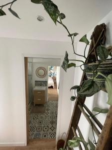 Appartements - Chez nous - : photos des chambres