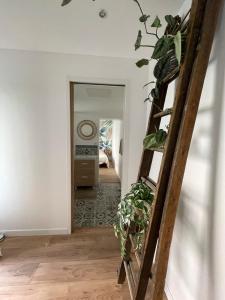 Appartements - Chez nous - : photos des chambres