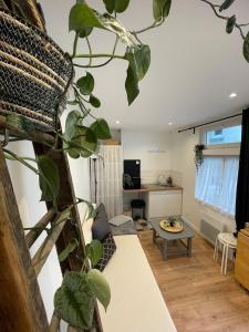 Appartements - Chez nous - : Appartement 2 Chambres