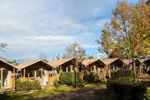 Tent room in Roma Camping In Town