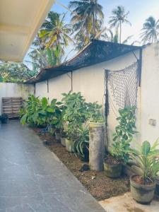 Hotel Meer