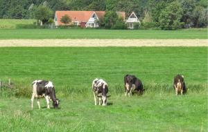 3 Bedroom Nice Home In Den Oever