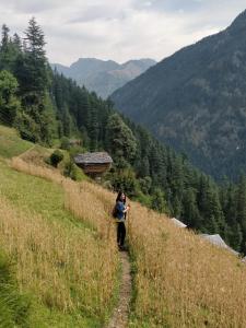 Whispering Pines Cottages Cabin by Bastiat Stays