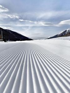 Nanisgarten - Grannys flat