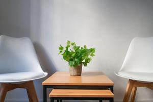 Palazzuolo Renaissance