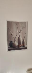 Просторен Апартамент Комфорт в топ център