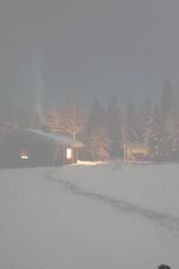 Peacfull cottage in middle of forest