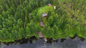 Peacfull cottage in middle of forest