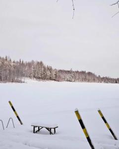 Peacfull cottage in middle of forest