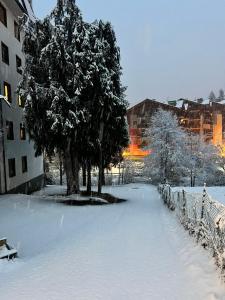Apartment mit 2 Schlafzimmern