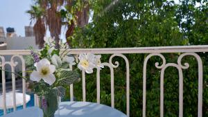 Village Knights Accommodation