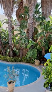 Village Knights Accommodation