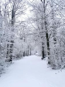 Chalet 139 Hakuna Matata