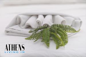 Classic Studio A2 - 2ppl