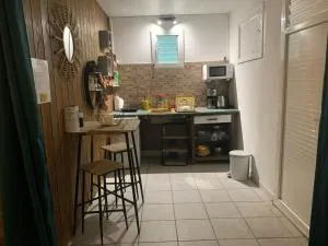 Calm stay in a lush setting - Le Lamentin