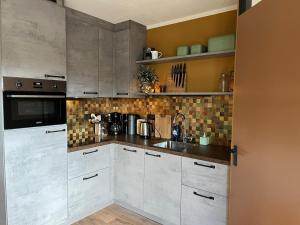 Spacious apartment in Maartenszee dune