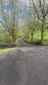 Casa dos Plátanos - Ubytování bez kategorie ve městě Ribeira Grande