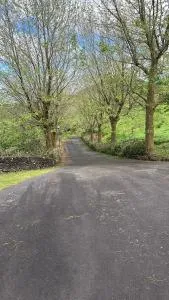 Casa dos Plátanos - Cabouco