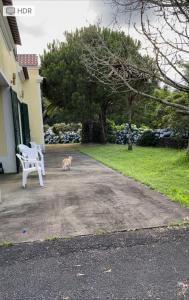 Casa dos Plátanos