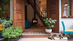 Siedlisko MiłoBrzózka