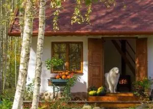 Siedlisko MiłoBrzózka - 索尔克维蒂