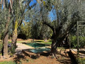 Villa kasbah de luxe, piscine et jacuzzi chauffés, jardin tropical