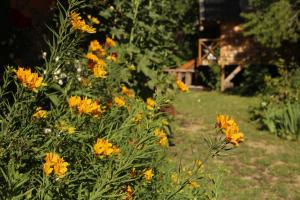 Hermosa Casa cerca del Teleférico Cerro Otto