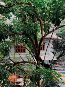 Khaosan Beds and Bath Hostel