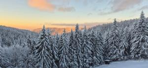 Horský apartmán Cihlářka 306