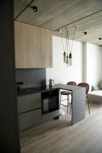 Ralio apartamentai monkey - Vilnius