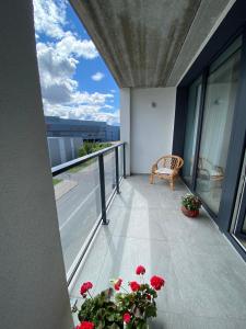 Ralio apartamentai monkey