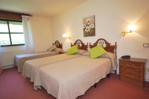 Hotel Principado De Europa