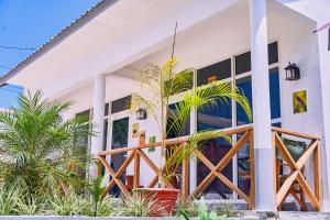 Birds of paradise homes 1