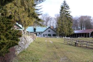 Csipkéskúti Lovas Vendégház