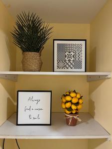 Spaces by Mono Unit 418