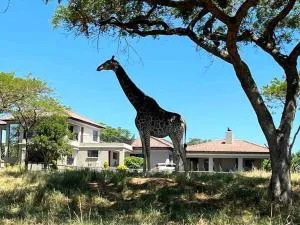 Ultra luxury in the Wild - Boschrand