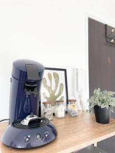 V5 Très Joli Studio proche Bâle