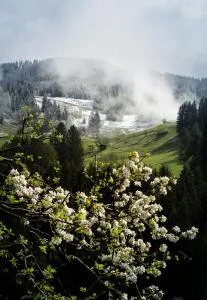 Heimathaus Hettegger neue gemütliche Ferienwohnung - Schied